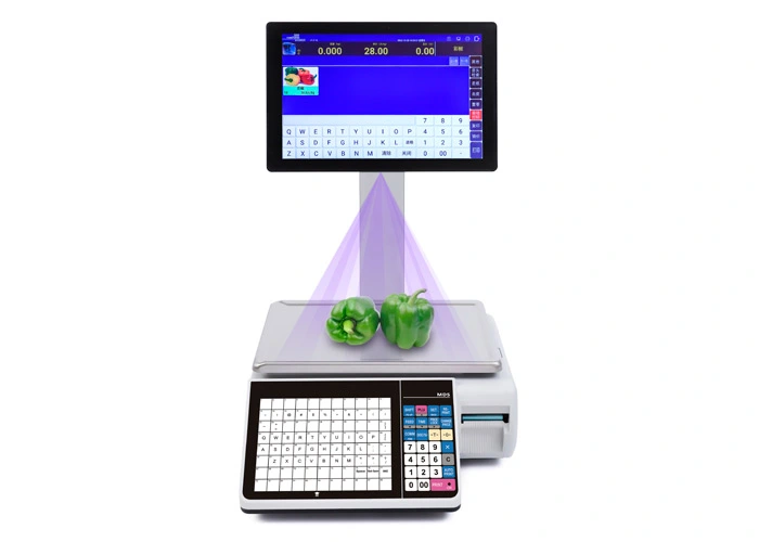 pc intelligence bar code label scale mds ai