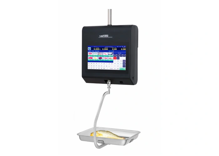 intelligent identification crane scales ads 309 2