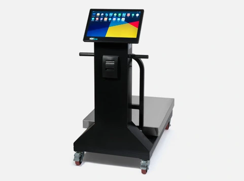 Push Trolley Cashier Integrated Scale ADS-306