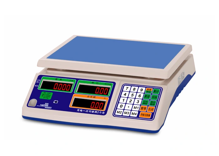 ns series price computing e scale 2