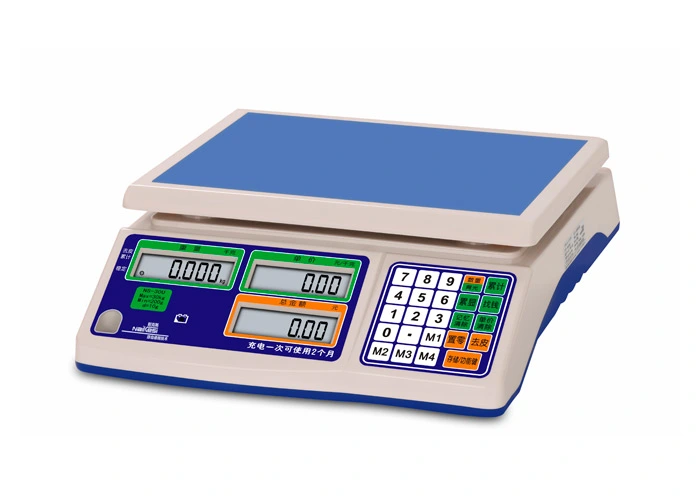 ns series price computing e scale 4