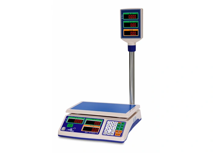 ns series price computing e scale