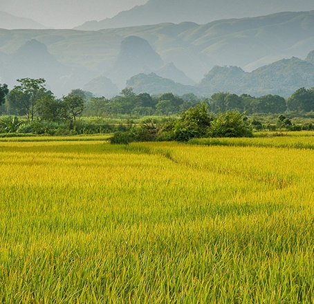 Farming & Agricultural